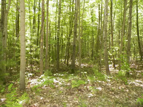 Lot #47 Bramblewood Dr, Cadillac, MI 49601