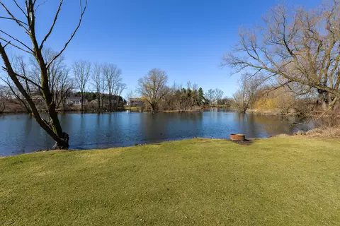 View/Area - 5753 Libby Ct, Dexter, MI 48130 photo 1 of 2
