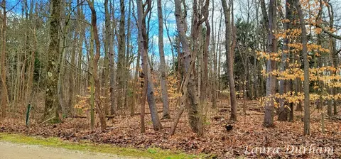 South Forest Trail, Fennville, MI 49408
