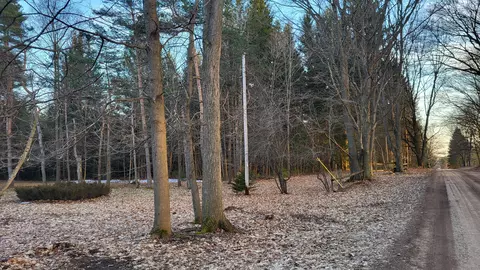 Viaduct Road, Copemish, MI 49625