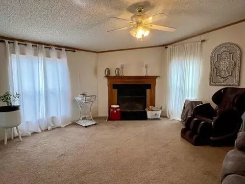 222 Ash Rdg, Mason, MI 48854 photo 5