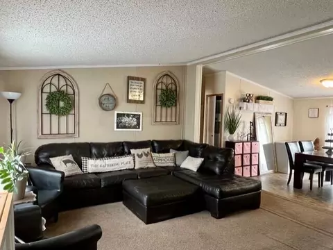 222 Ash Rdg, Mason, MI 48854 photo 16