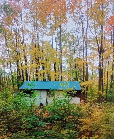 20455 Oakwood Rd, Newberry, MI 49868