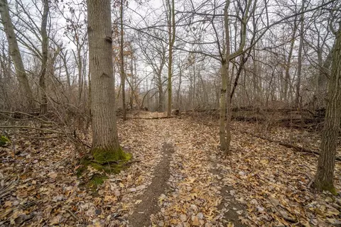 peninsula drive UNIT 3, Jackson, MI 49201 photo 16