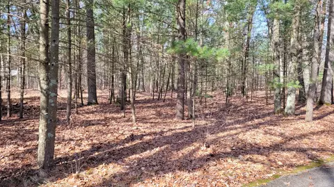 View/Area - 1660 Beaver Rd, Bitely, MI 49309 photo 9 of 10