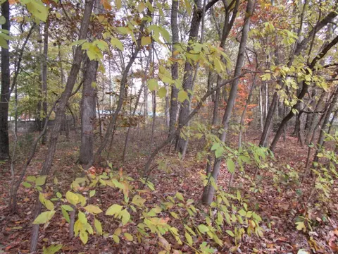 Lot 6 Kiella Drive, Allegan, MI 49010