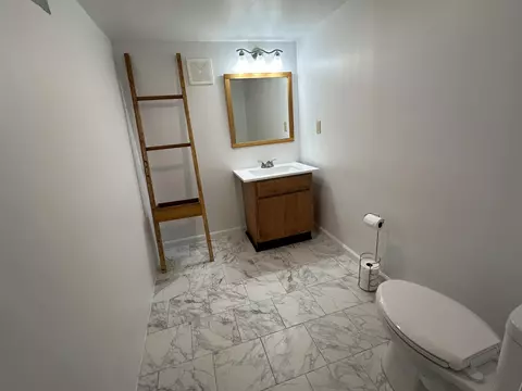 1010 Red Mill Dr, Tecumseh, MI 49286 photo 8