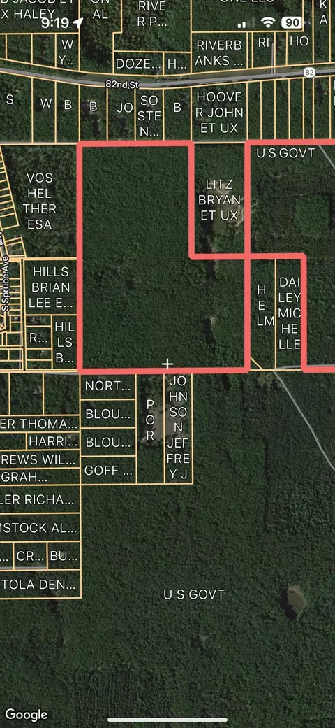Nhn E 88th St, Grant, MI 49327 photo 5