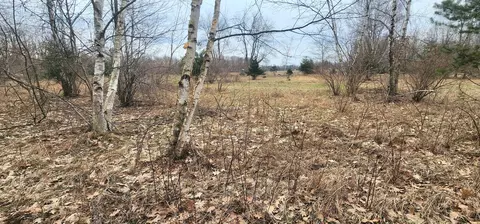 5277 N Plumb Rd, Stanton, MI 48888 photo 3