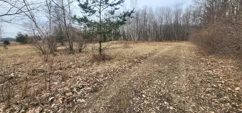 5277 N Plumb Rd, Stanton, MI 48888 photo 2