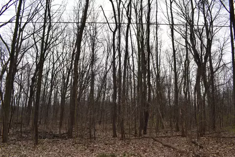 first street, Dowagiac, MI 49047