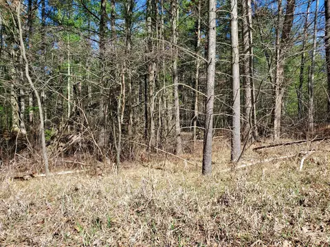 Idlewild Blvd, Idlewild, MI 49642