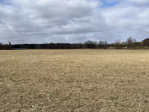 Par A 1 Mile Rd Road, Lakeview, MI 48850