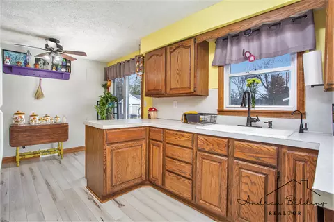 508 Roosevelt St, Belding, MI 48809 photo 9