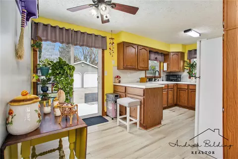 508 Roosevelt St, Belding, MI 48809 photo 11