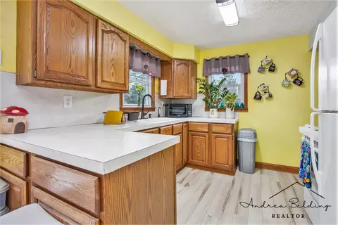 508 Roosevelt St, Belding, MI 48809 photo 8