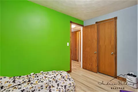 508 Roosevelt St, Belding, MI 48809 photo 18