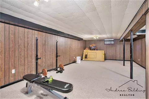 508 Roosevelt St, Belding, MI 48809 photo 24