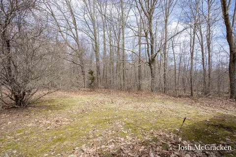 3900 W Stanton Rd, Stanton, MI 48888 photo 24