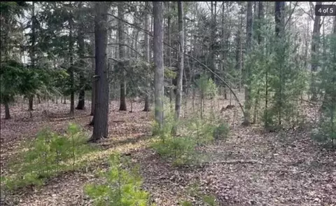23 Deer Park Dr, Glen Arbor, MI 49636