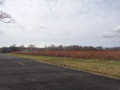 Parcel A 16th Avenue, Grand Junction, MI 49056