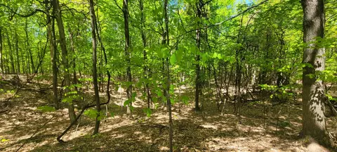Other - 7190 W Fox Rd, Mears, MI 49436 photo 21 of 25