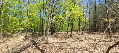 Other - 7190 W Fox Rd, Mears, MI 49436 photo 23 of 25