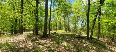 Other - 7190 W Fox Rd, Mears, MI 49436 photo 17 of 25