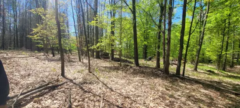 Other - 7190 W Fox Rd, Mears, MI 49436 photo 22 of 25