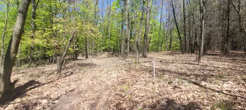 Other - 7190 W Fox Rd, Mears, MI 49436 photo 24 of 25