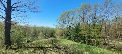 View/Area - 7190 W Fox Rd, Mears, MI 49436 photo 1 of 23
