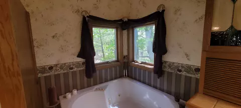 Bath - 7190 W Fox Rd, Mears, MI 49436 photo 6 of 10