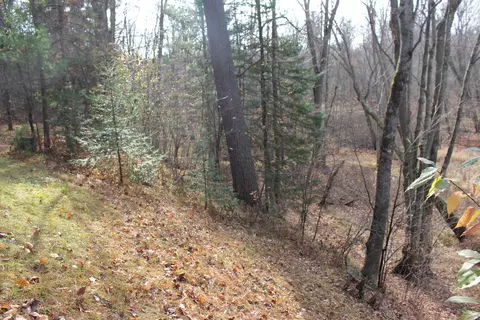 2391 Buck Rd, Harrison, MI 48625 photo 22