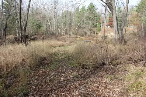 2391 Buck Rd, Harrison, MI 48625 photo 26