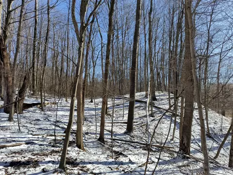 S Vacant Land 56th Avenue, Shelby, MI 49455