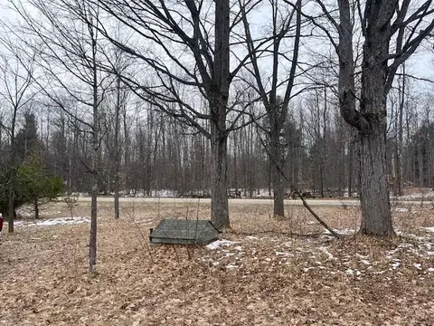 3690 NE 571 Rd, Kalkaska, MI 49646