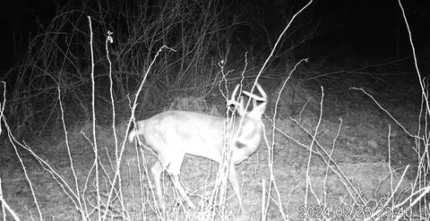 Other - 3804 Seymour Rd, Jackson, MI 49201 photo 12 of 12