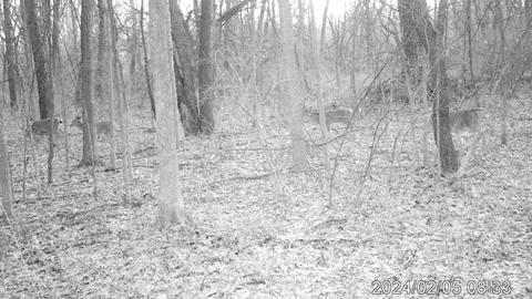 Living - 3804 Seymour Rd, Jackson, MI 49201 photo 4 of 4