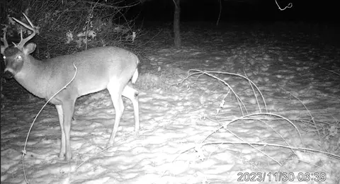 Other - 3804 Seymour Rd, Jackson, MI 49201 photo 10 of 12