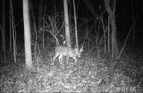 Other - 3804 Seymour Rd, Jackson, MI 49201 photo 11 of 12