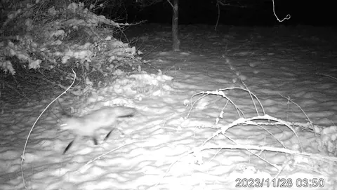 Other - 3804 Seymour Rd, Jackson, MI 49201 photo 9 of 12