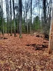 0 Spruce Ave, Roscommon, MI 48653 photo 7