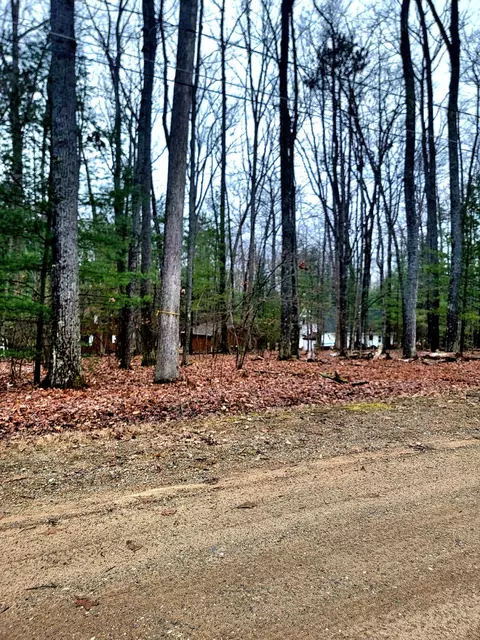 0 Spruce Ave, Roscommon, MI 48653 photo 4