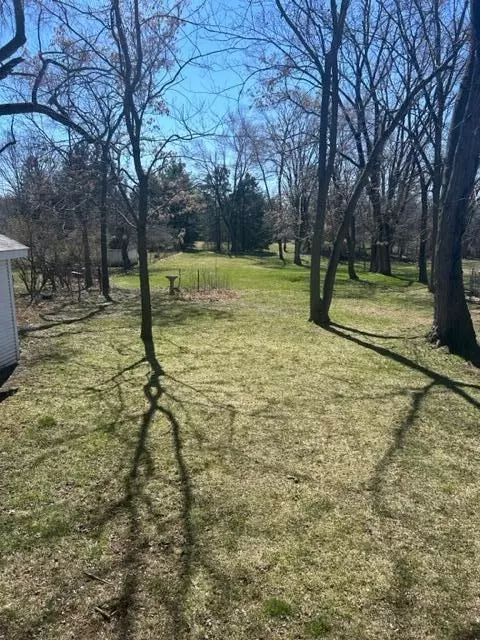 View/Area - 975 Avenue A, Springfield, MI 49037 photo 1 of 2