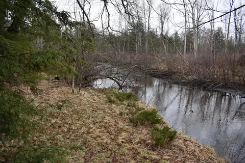View/Area - 6651 S James Rd, Baldwin, MI 49304 photo 1 of 1