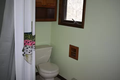 Bath - 6651 S James Rd, Baldwin, MI 49304 photo 2 of 2