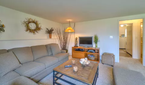 Living - 970 Briarcliff Rd, Jackson, MI 49203 photo 7 of 8