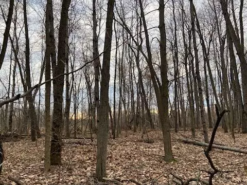 N Sheridan Road, Edmore, MI 48829
