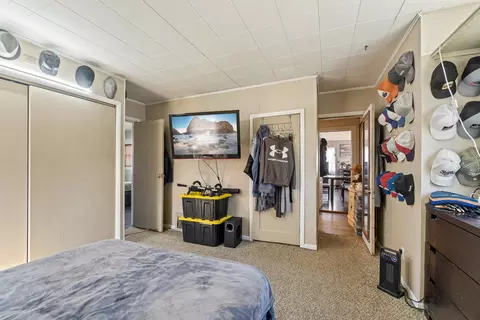 Bedroom - 5125 Clinton Rd, Jackson, MI 49201 photo 6 of 7