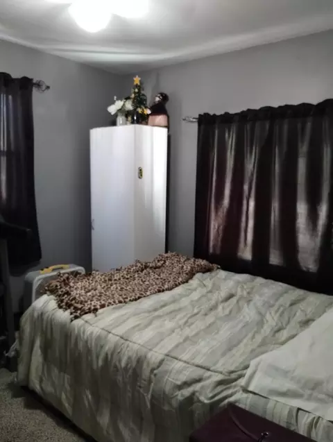 3101 Hazel Rd, Harrison, MI 48625 photo 14